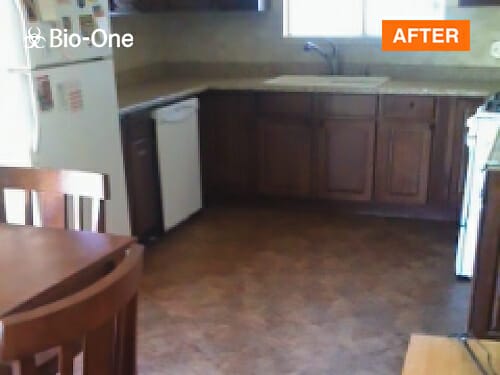 hoarded home after cleanup scenario