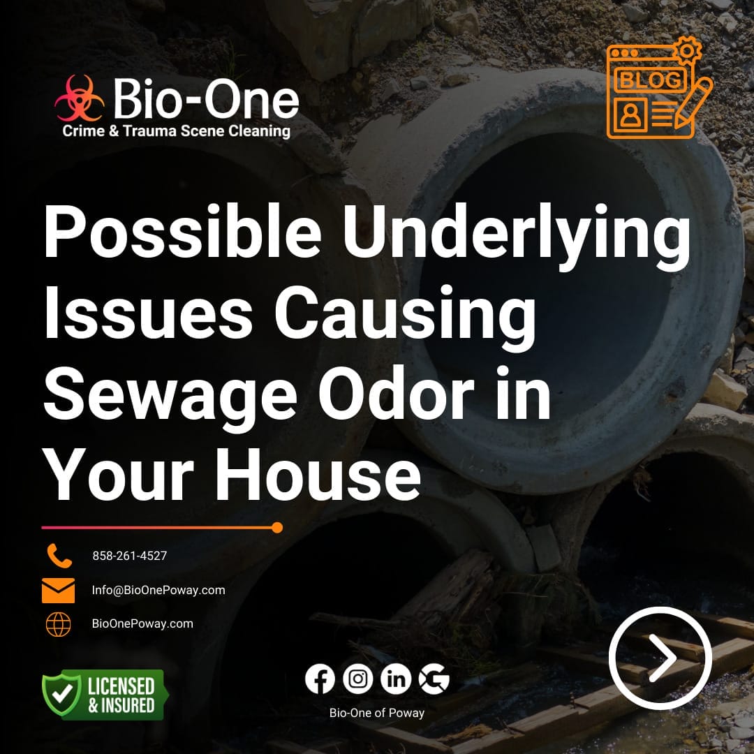 Possible Underlying Issues Causing Sewage Odor in Your Hou - Bio-One of Poway